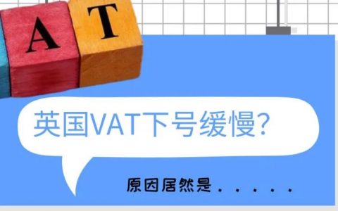 英国政府为什么要收紧VAT税号批准措施？英国VAT下号慢是因为疫情影响吗？