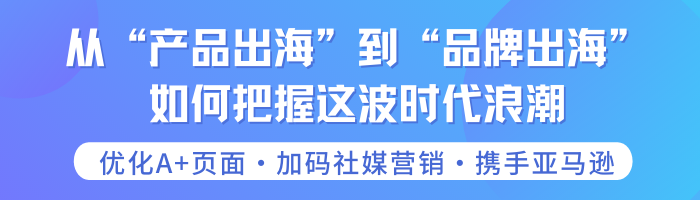 上线亚马逊3个月，爆款稳居Best seller的外贸老炮儿跨境转型履历大公开！