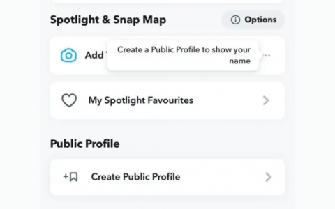 如何在 Snapchat 上公开个人资料（IOS 和 Android）