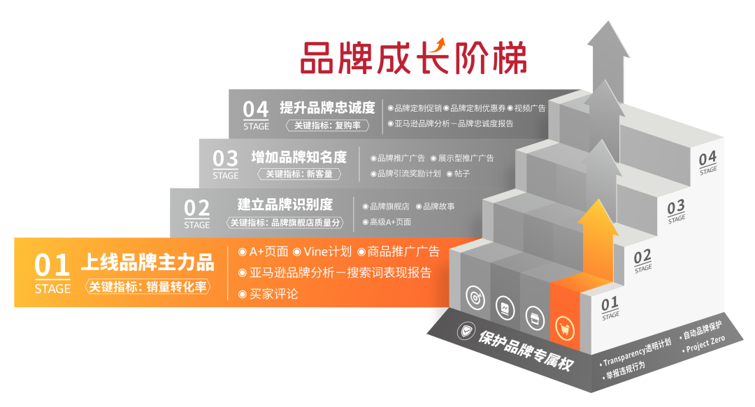 亚马逊“品牌成长阶梯”重磅发布！省下一大笔咨询费