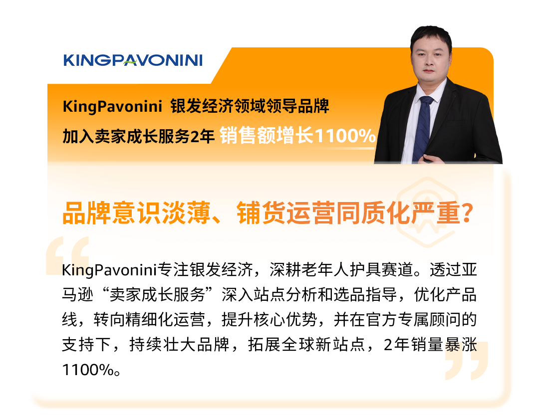 定制化、系统性、高时效、超精准的亚马逊卖家成长服务，助您乘风破浪，扬帆远航